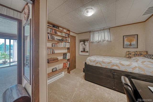 37820 Twin Kopie Drive, Buena Vista, CO 81211