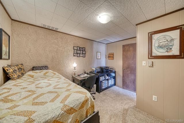 37820 Twin Kopie Drive, Buena Vista, CO 81211
