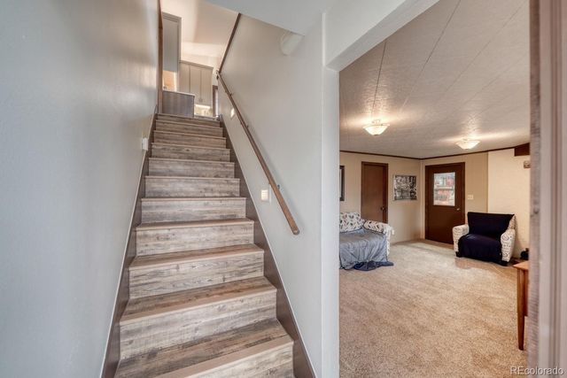37820 Twin Kopie Drive, Buena Vista, CO 81211