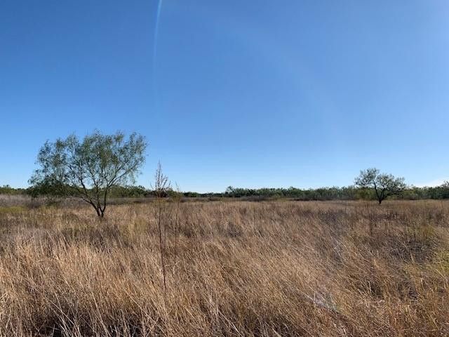 2400 FM 2662, Bronte, TX 76933