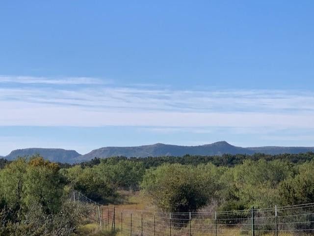 2400 FM 2662, Bronte, TX 76933