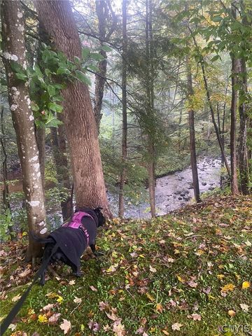 2779 State Route 29, Salisbury, NY 13329