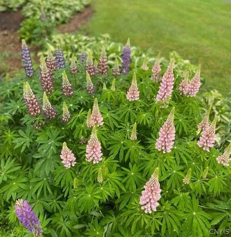 2779 State Route 29, Salisbury, NY 13329