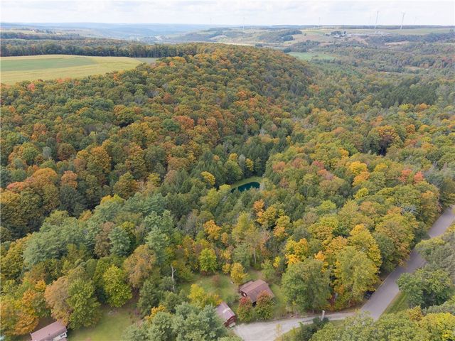 7427 Moss Road, Howard, NY 14843