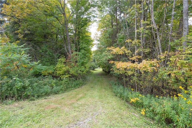 7427 Moss Road, Howard, NY 14843