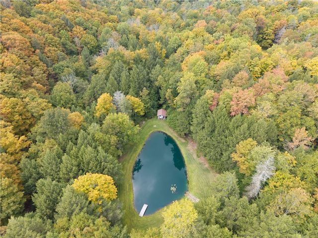 7427 Moss Road, Howard, NY 14843