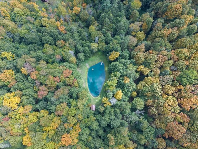 7427 Moss Road, Howard, NY 14843