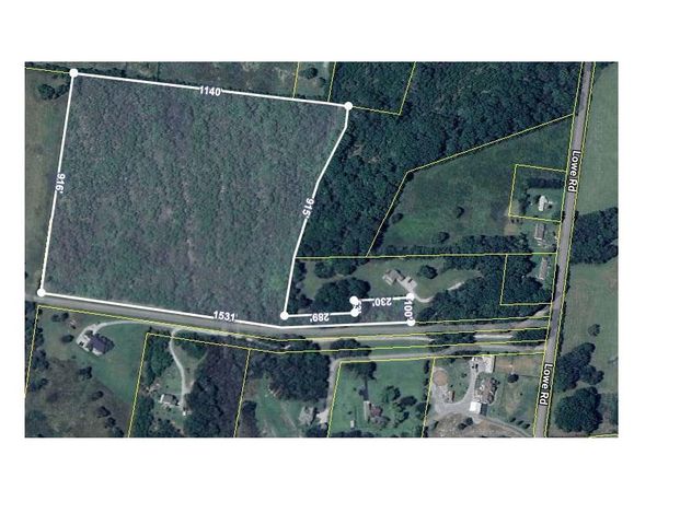 7787 Lowe Christiana Rd, Christiana, TN 37037