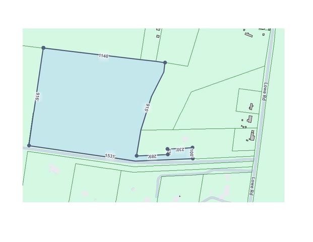 7787 Lowe Christiana Rd, Christiana, TN 37037