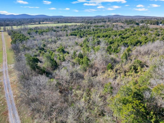 7787 Lowe Christiana Rd, Christiana, TN 37037