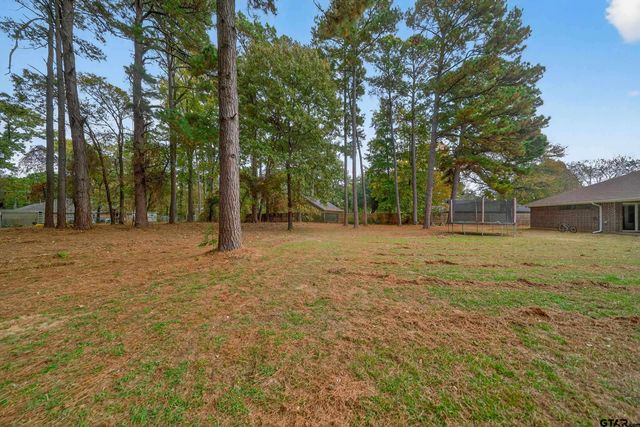 21112 Altuda Ln, Flint, TX 75762