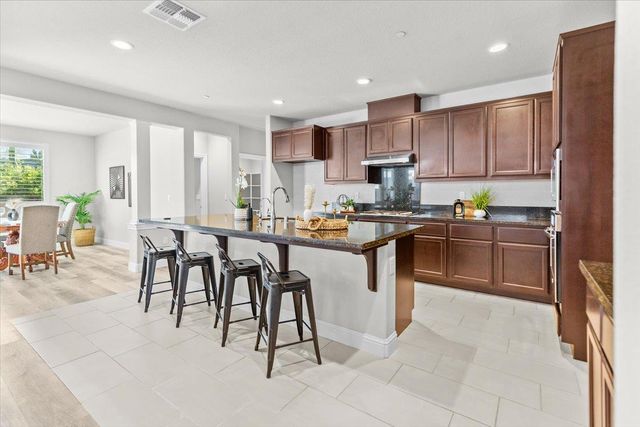 230 Steven Bridges Ln, Tracy, CA 95377