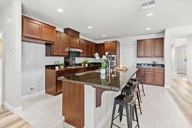 230 Steven Bridges Ln, Tracy, CA 95377