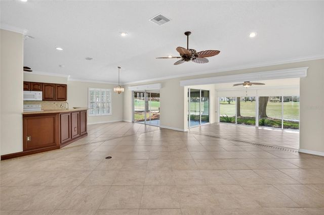2403 TAMARINDO DRIVE, The Villages, FL 32162