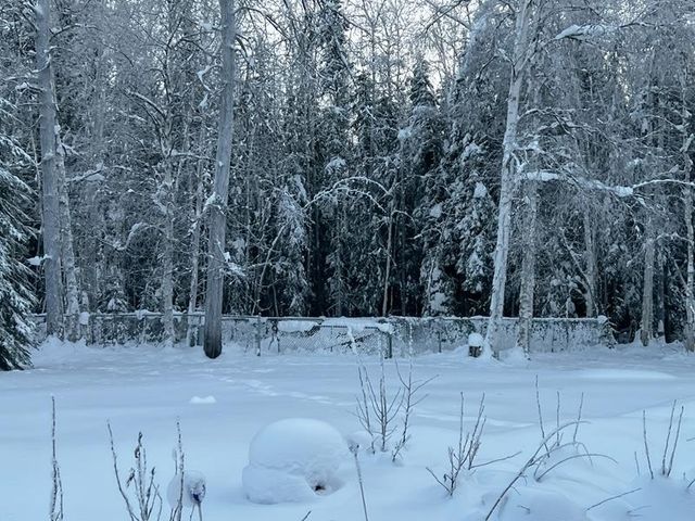 2540 HONEYBEE LANE, North Pole, AK 99705