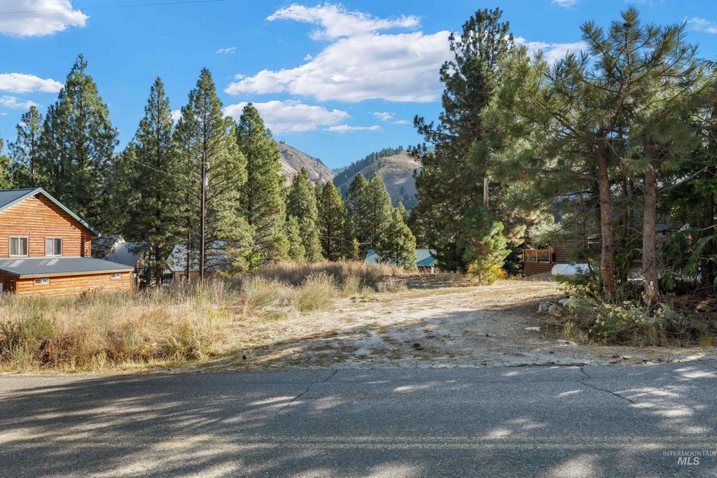 TBD N Pine-Featherville Rd, Pine, ID 83647 photo 4