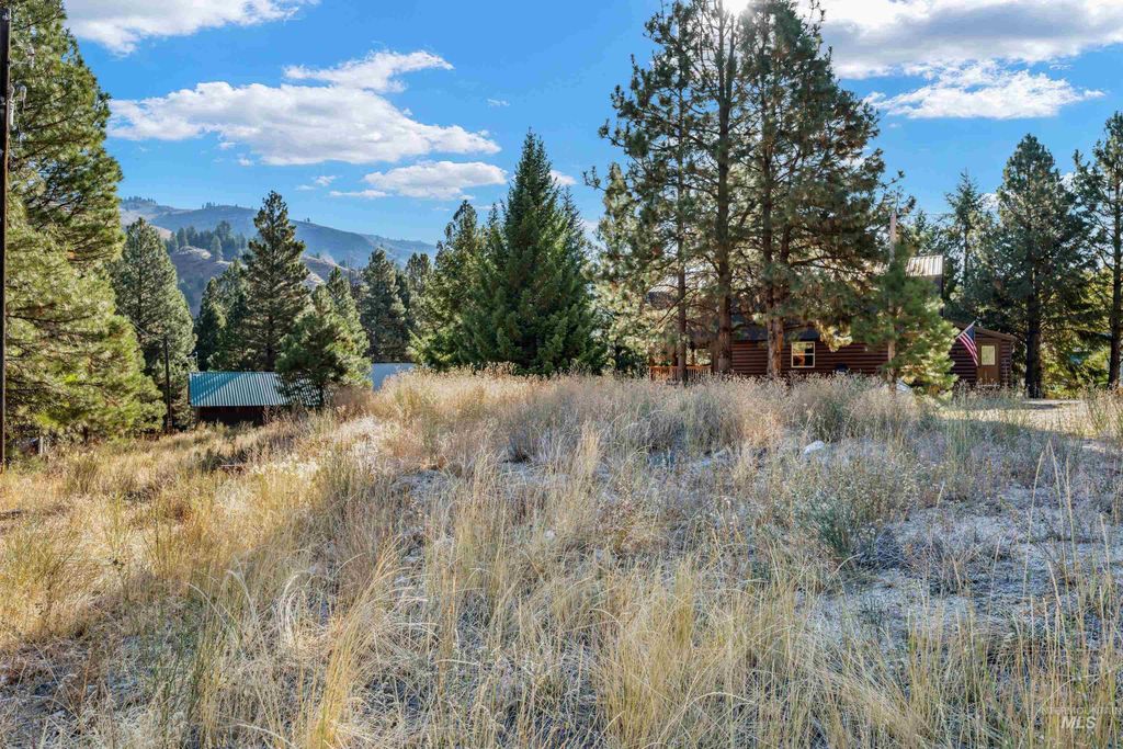 TBD N Pine-Featherville Rd, Pine, ID 83647 photo 5