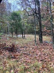 155 Madison CR 410, Fredericktown, MO 63645