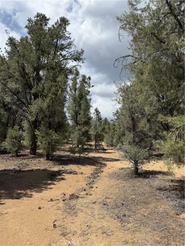 98011 Maine Road, Kennedy Meadows, CA 93527