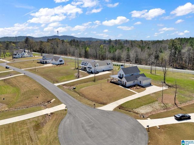 65 STONEWOOD LANE, Springville, AL 35146