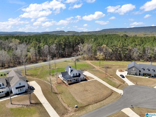 65 STONEWOOD LANE, Springville, AL 35146