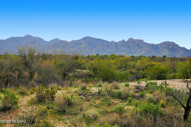 13828 N Lobelia Way, Oro Valley, AZ 85755