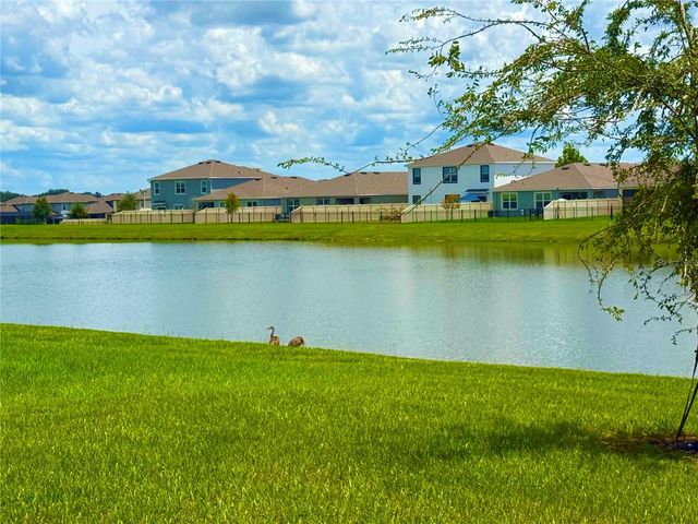 31800 OYSTER TRELLIS LANE, Wesley Chapel, FL 33545