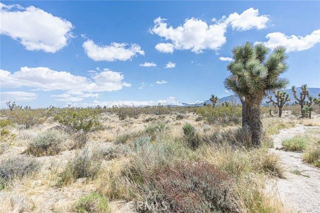 0 Bear Valley Road, Pinon Hills, CA 92372