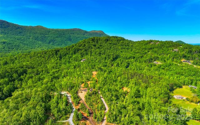 1 Constant Lane, Columbus, NC 28722
