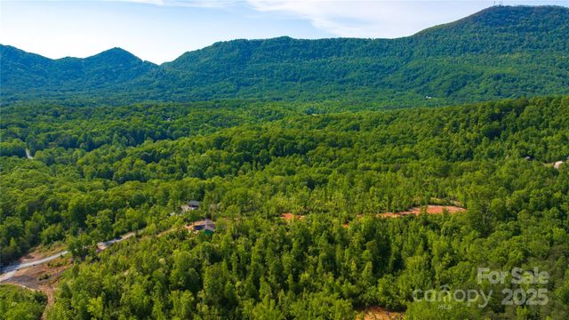 1 Constant Lane, Columbus, NC 28722