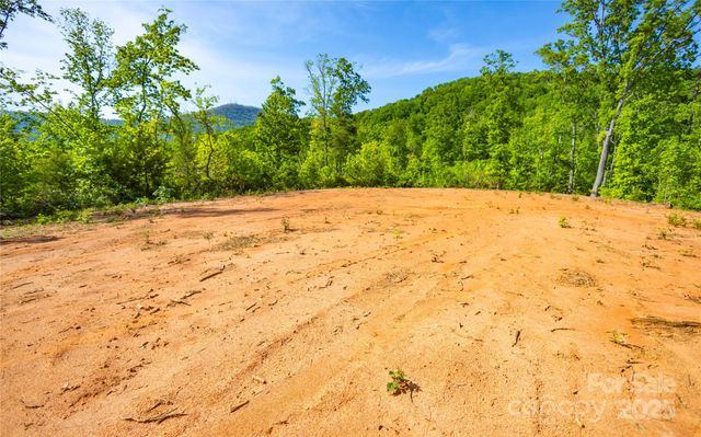 1 Constant Lane, Columbus, NC 28722