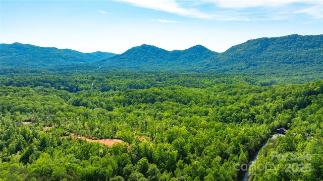 1 Constant Lane, Columbus, NC 28722