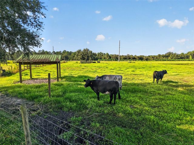 4027 N C 470, Lake Panasoffkee, FL 33538