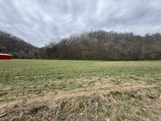 0 Pine Lick Rd, Whitleyville, TN 38588