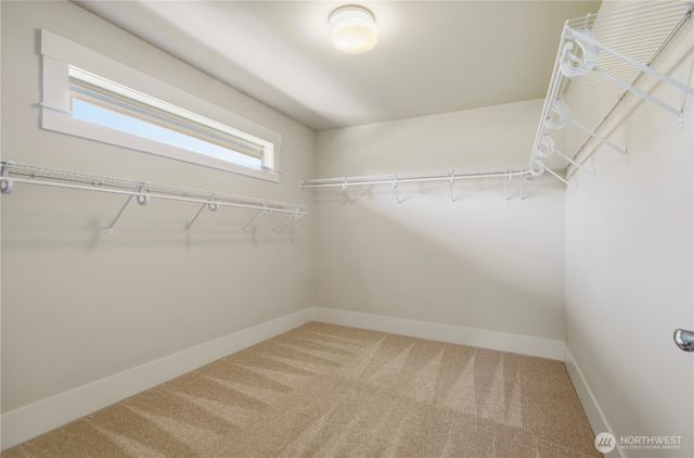920 233rd Place NE, Sammamish, WA 98074