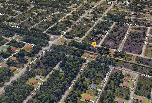 773 Cadis Street E, Lehigh Acres, FL 33974