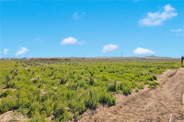 28571 Wild, Helendale, CA 92342