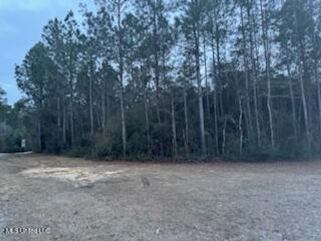 Rouses Marina Road, Vancleave, MS 39565