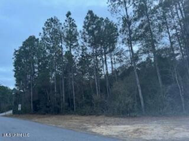 Rouses Marina Road, Vancleave, MS 39565