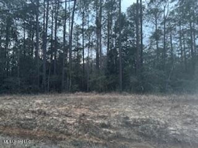 Rouses Marina Road, Vancleave, MS 39565