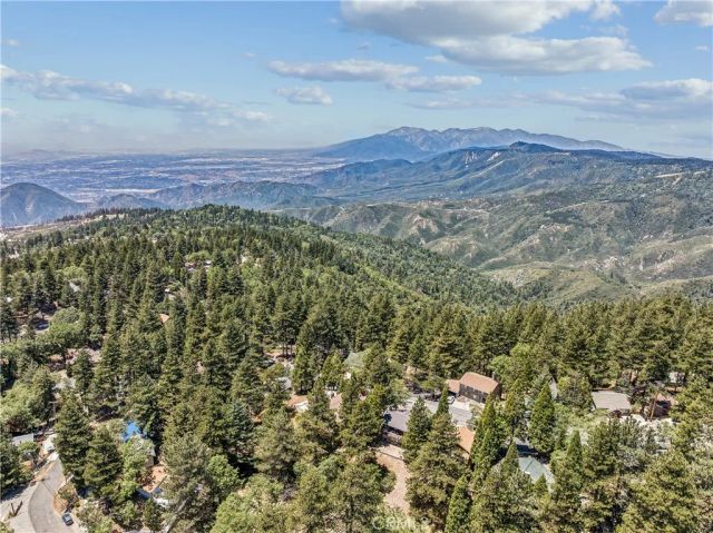 30834 Live Oak, Running Springs, CA 92382