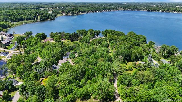 3931 S Shore Drive, Elba Township, MI 48446
