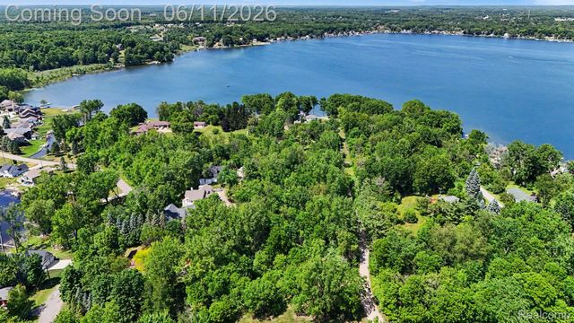 3931 S Shore Drive, Elba Township, MI 48446