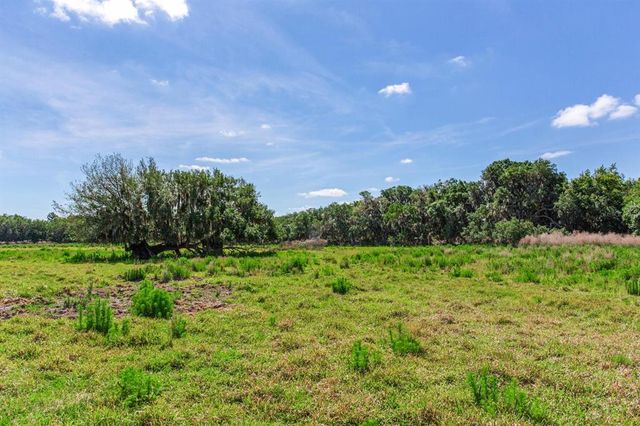 419 JAMESON ROAD, Lithia, FL 33547