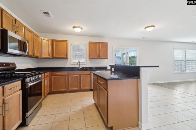 166 Cattle Baron Lane, Elgin, SC 29045