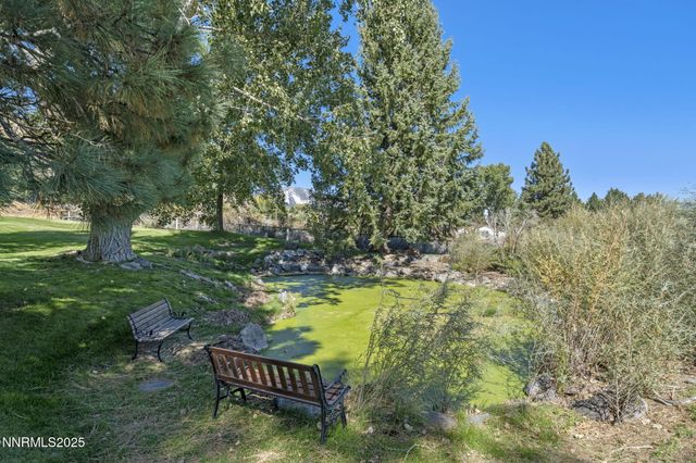 50 Lonesome Polecat Lane, Washoe Valley, NV 89704