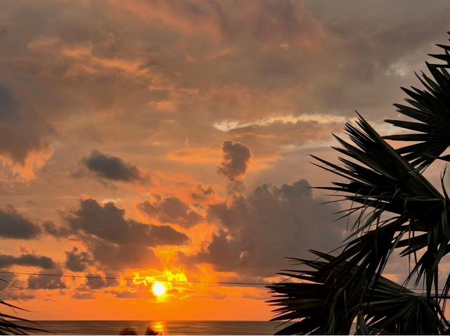 116 CARLYLE CIRCLE, Palm Harbor, FL 34683