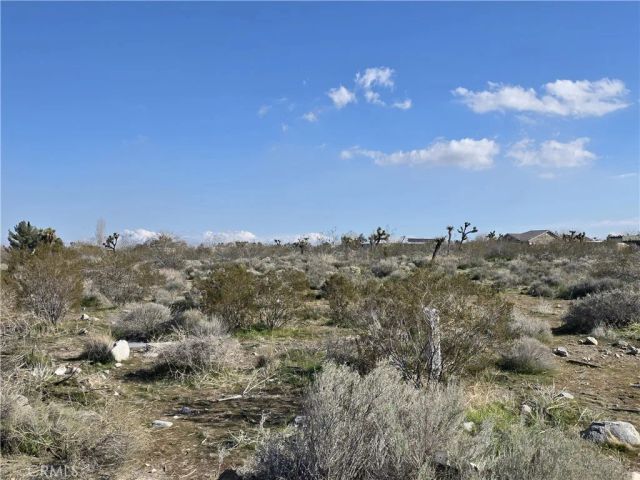 0 Del Rosa Rd and Wintergreen Rd, Pinon Hills, CA 92372