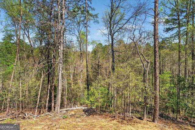 54 Barbs Way, Mineral Bluff, GA 30559