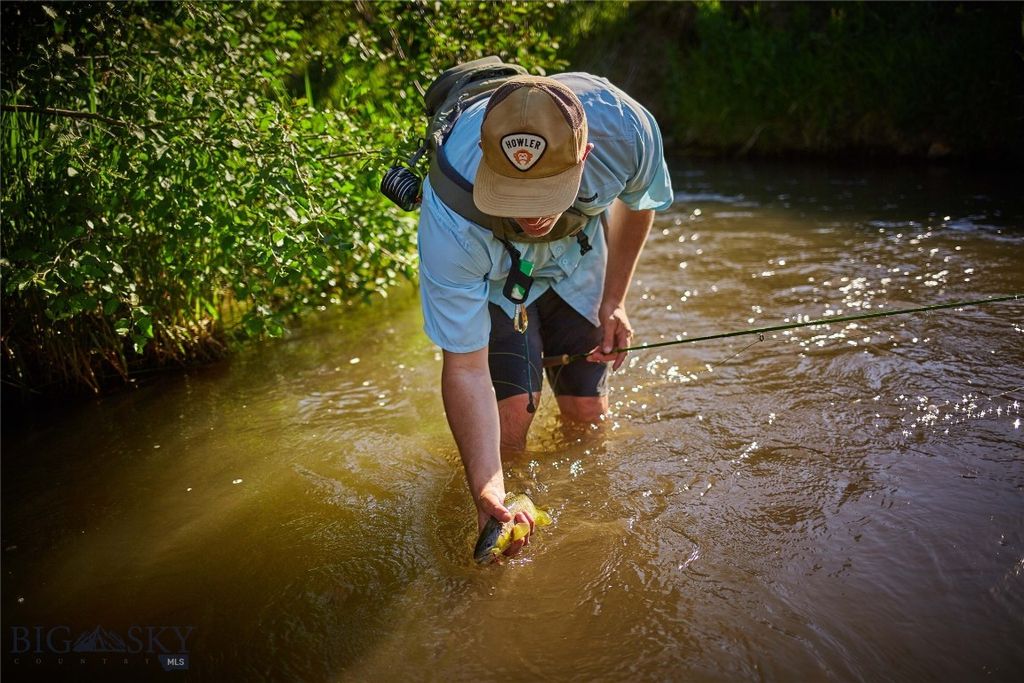 3010 Skinner Road, Belgrade, MT 59714 photo 15